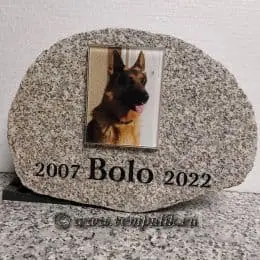 Pies Bolo