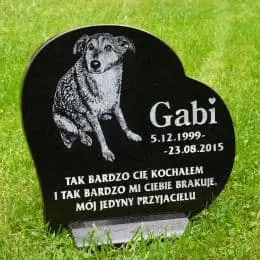 Pies Gabi płyta z podstawka