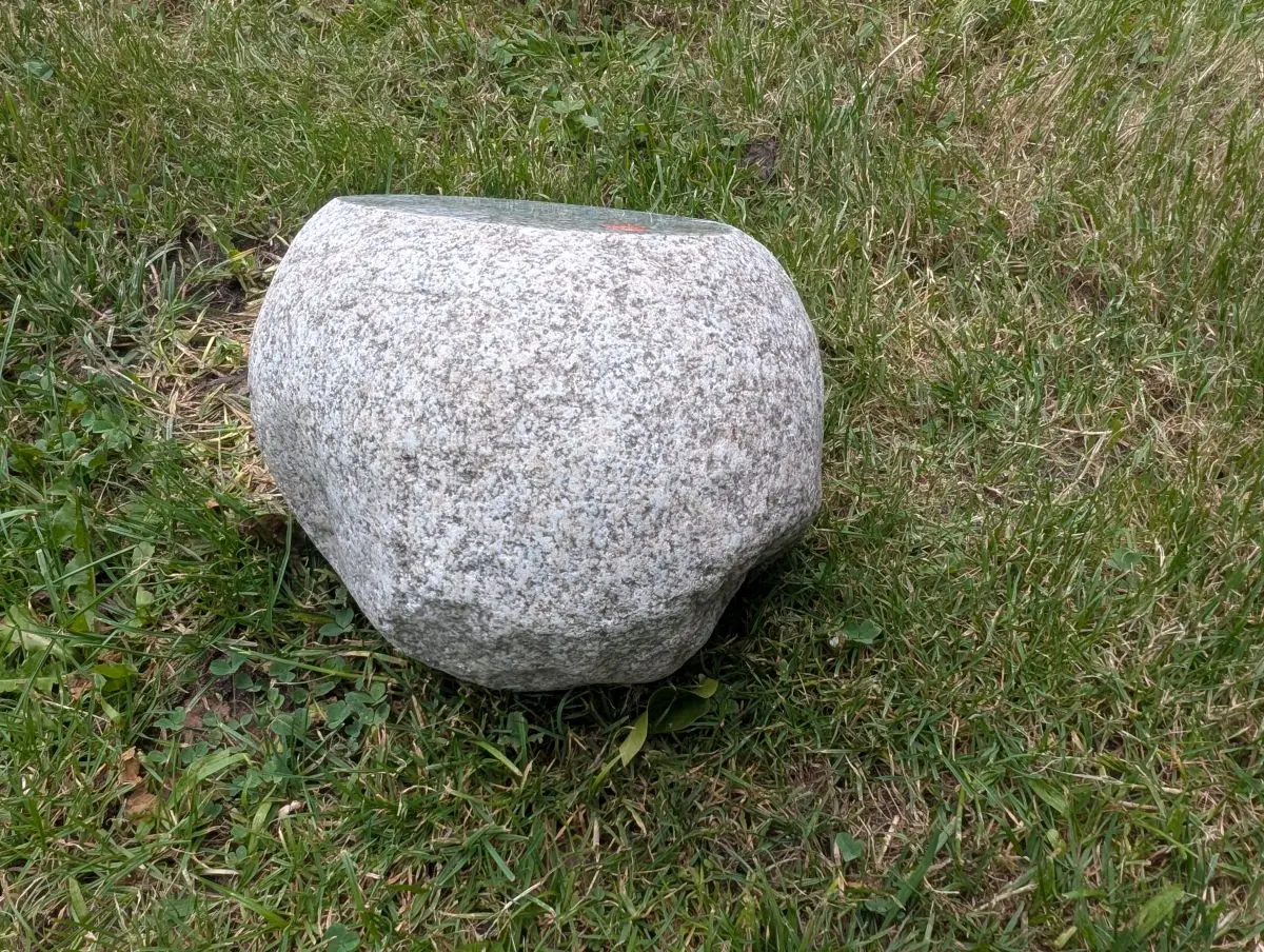 #36 głaz - pomnik dla psa