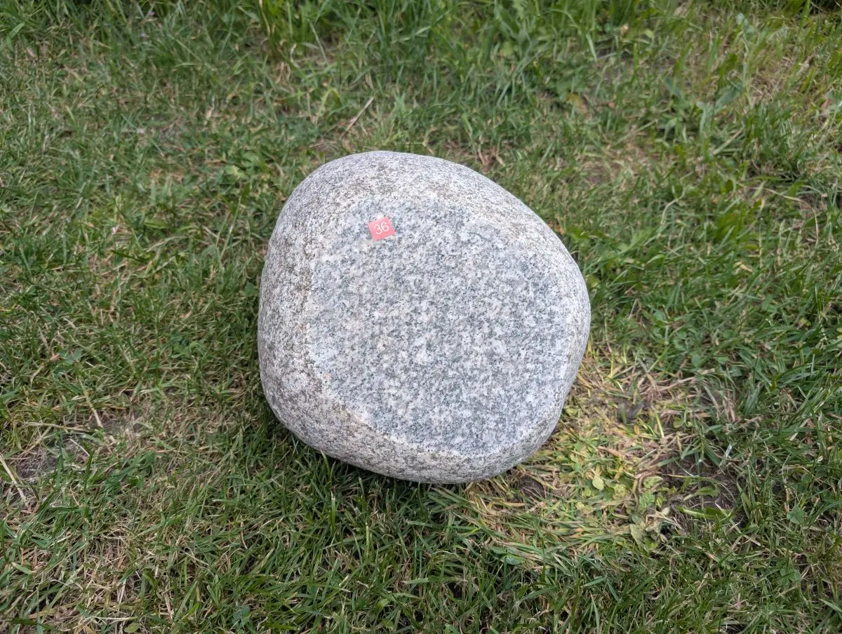 #36 głaz - pomnik dla psa