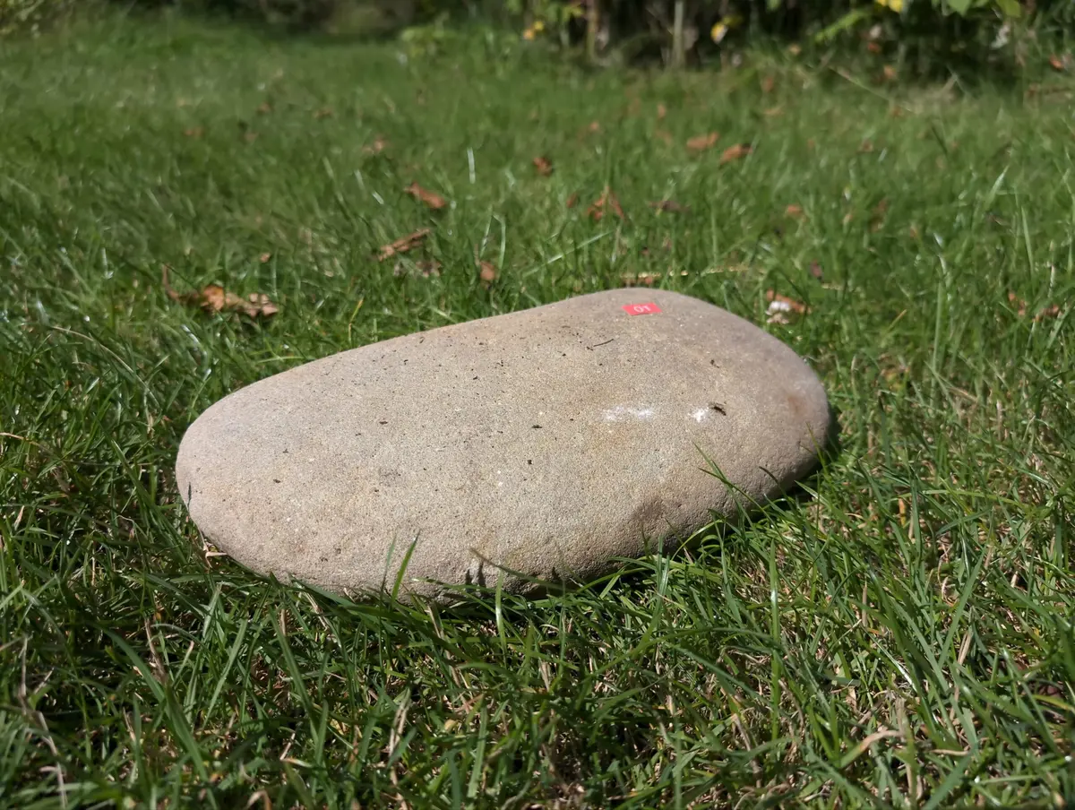 #01 Średni Głaz - pomnik dla psa lub kota