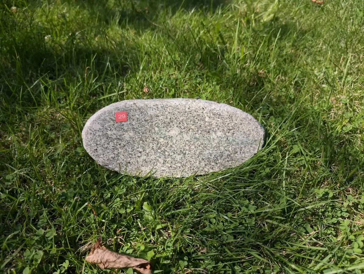 #29 Głaz - pomnik dla psa lub kota