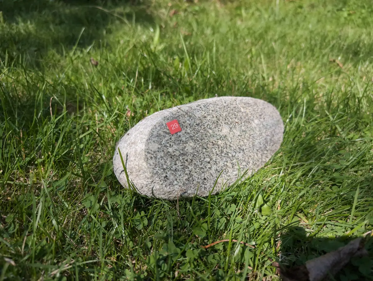 #29 Głaz - pomnik dla psa lub kota