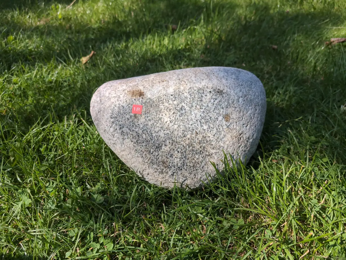 #18 Głaz - pomnik dla psa