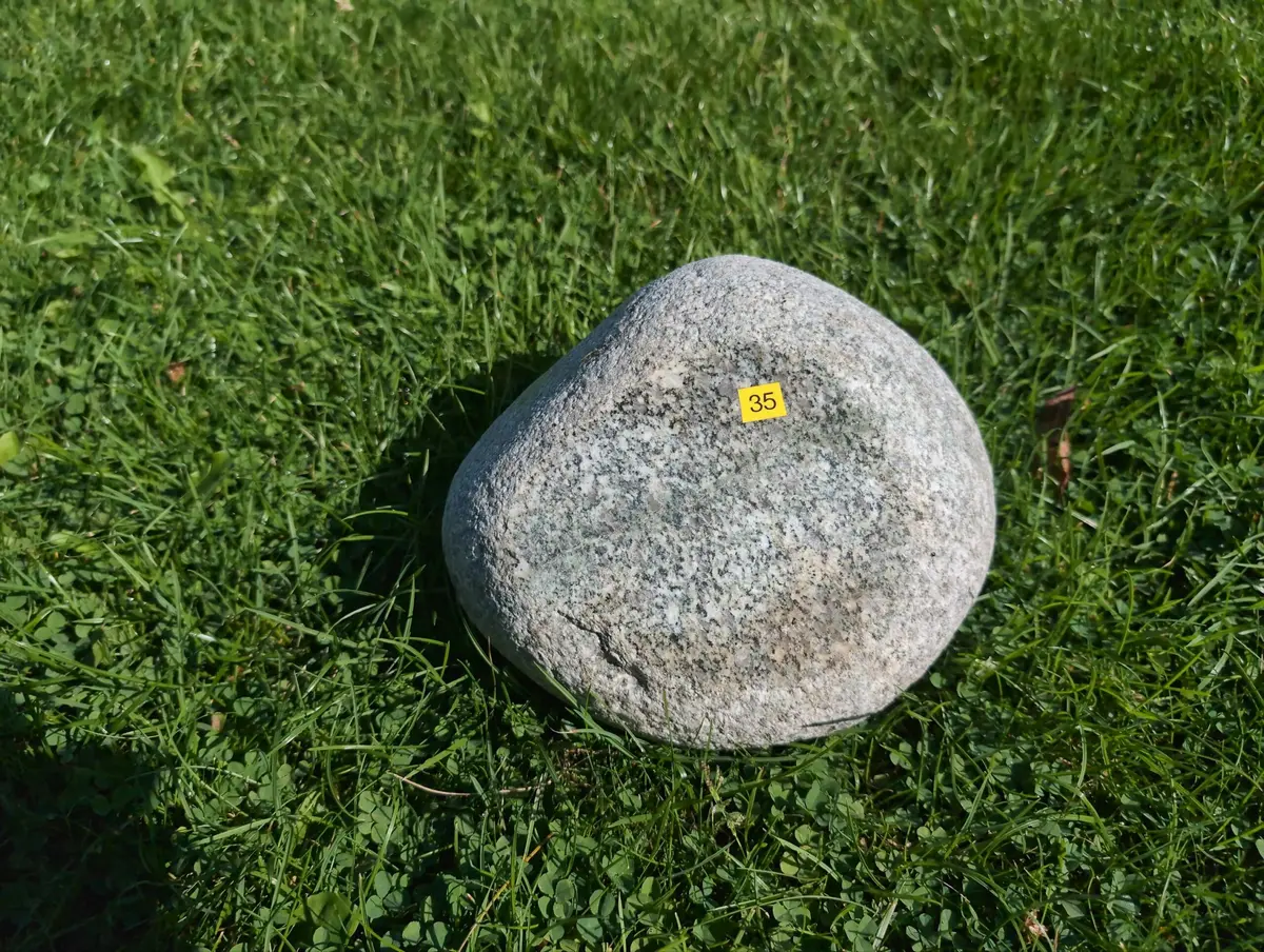 #35 głaz - pomnik dla psa