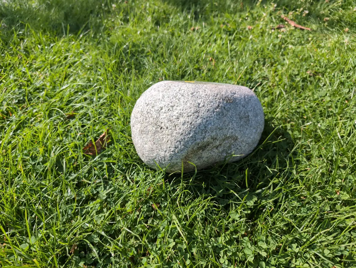 #35 głaz - pomnik dla psa