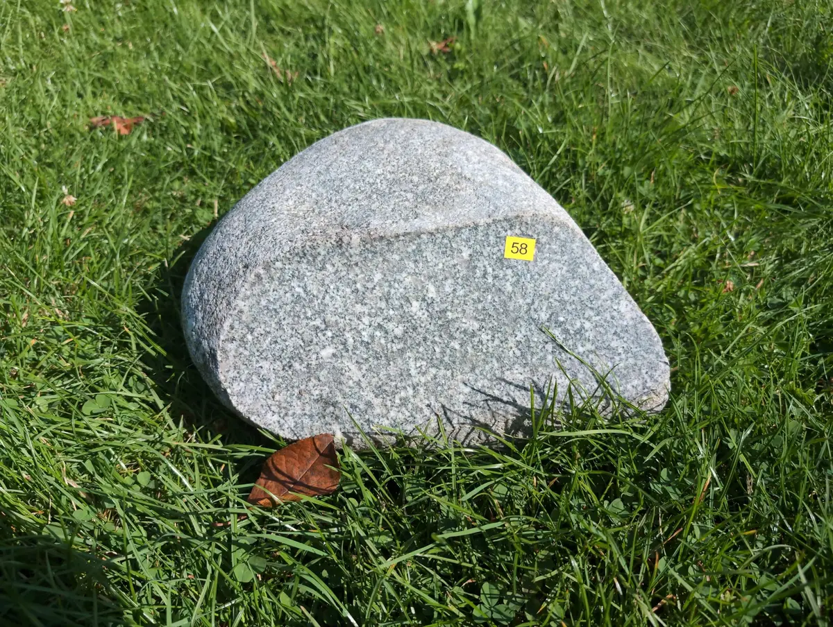 #58 głaz - pomnik dla psa