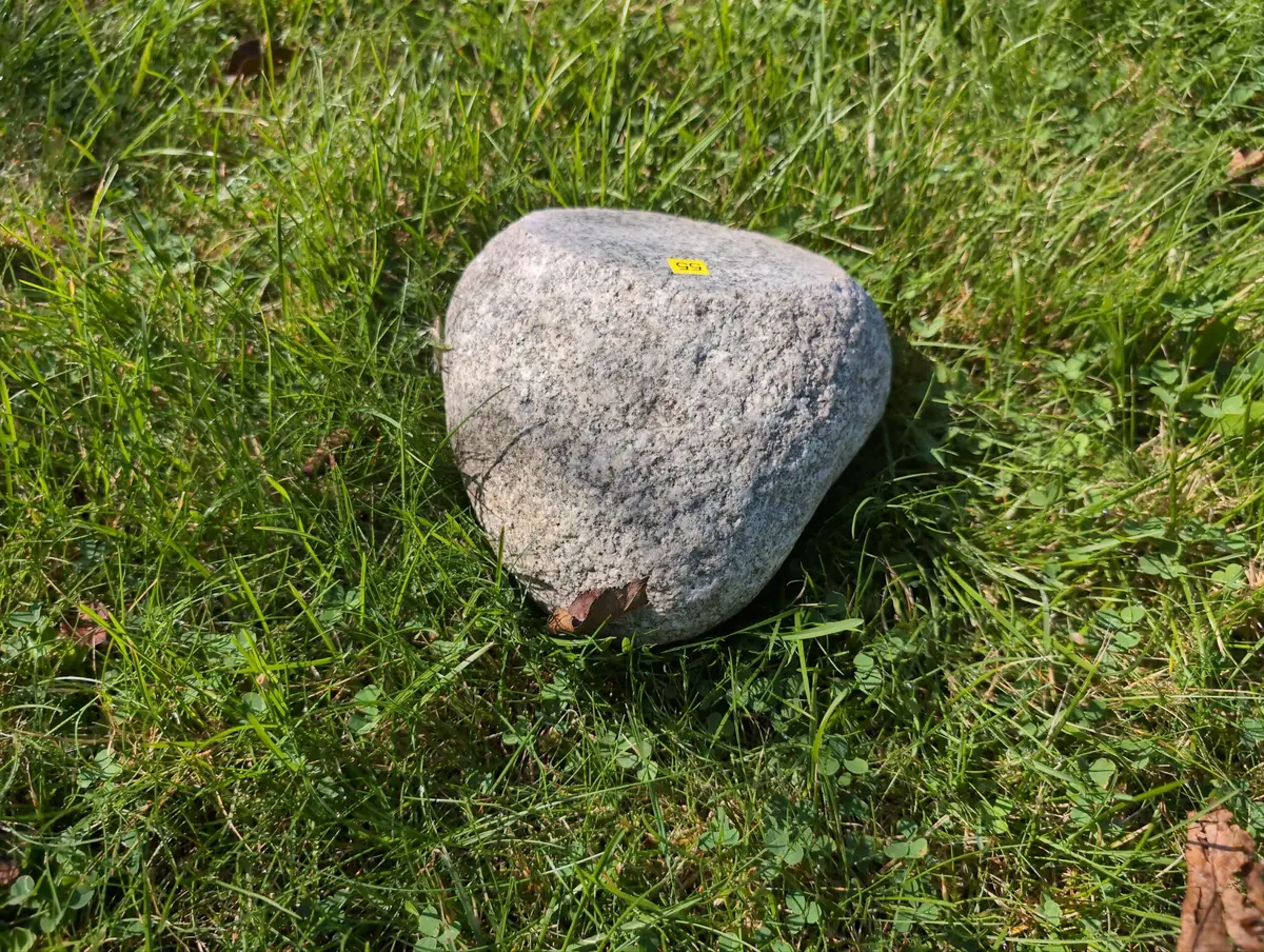 #55 maly Głaz - pomnik dla psa lub kota