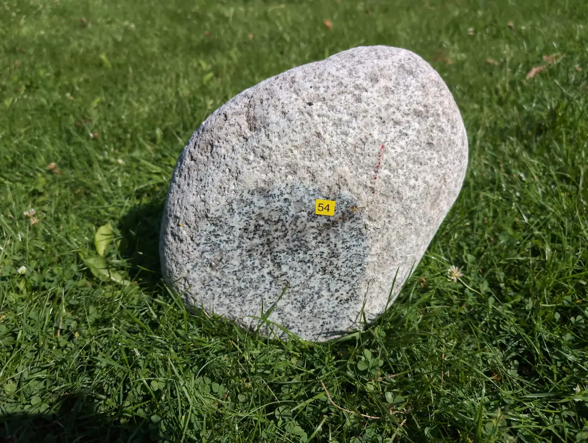 #54 głaz - pomnik dla psa