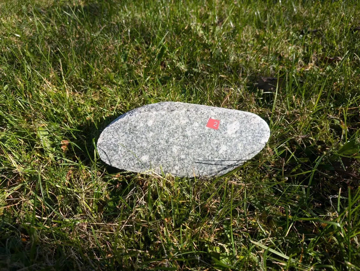 #02 Głaz - pomnik dla psa