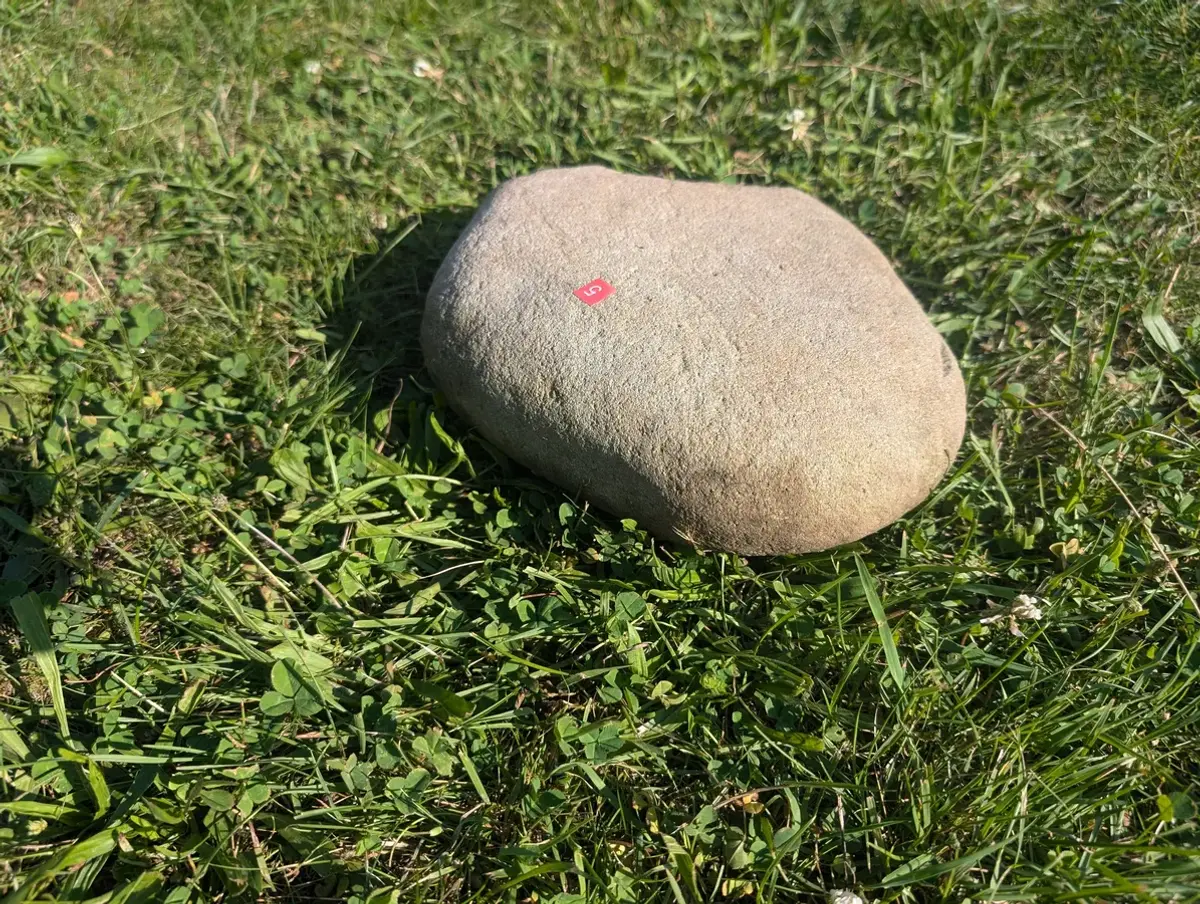 #05 Średni Głaz - pomnik dla psa lub kota (Kopia)