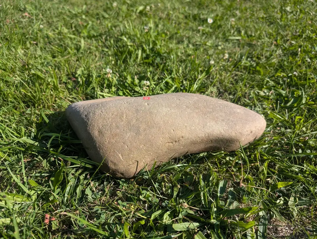 #06 Średni Głaz - pomnik dla psa lub kota