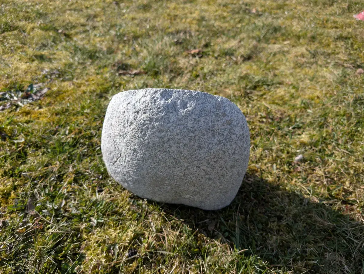 #07 głaz - pomnik dla psa - zdjęcie 3