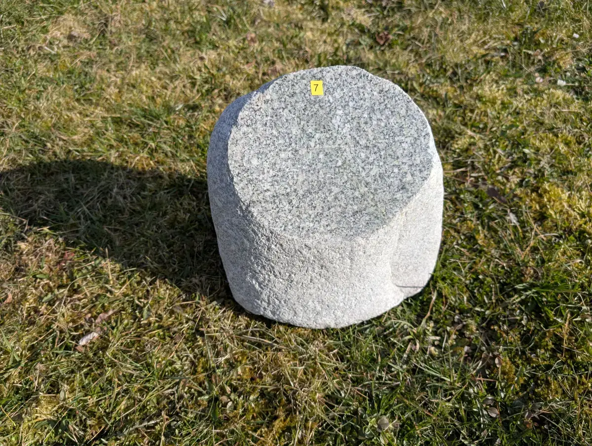 #07 głaz - pomnik dla psa