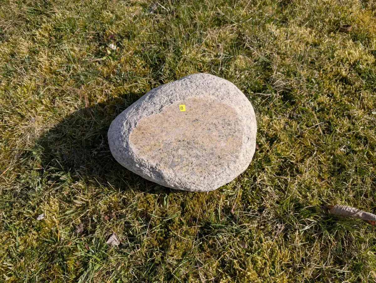 #08 głaz - pomnik dla psa