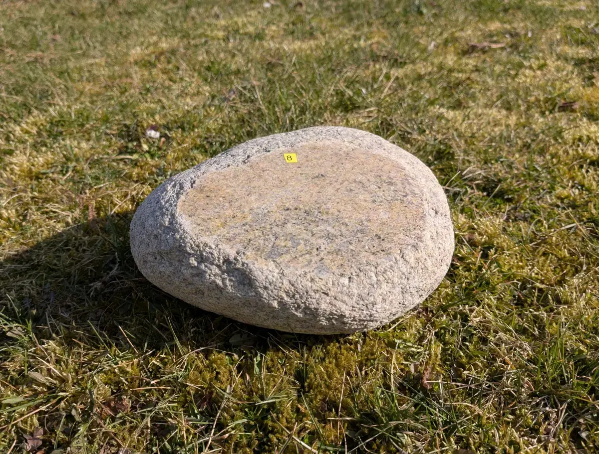 #08 głaz - pomnik dla psa - zdjęcie 4