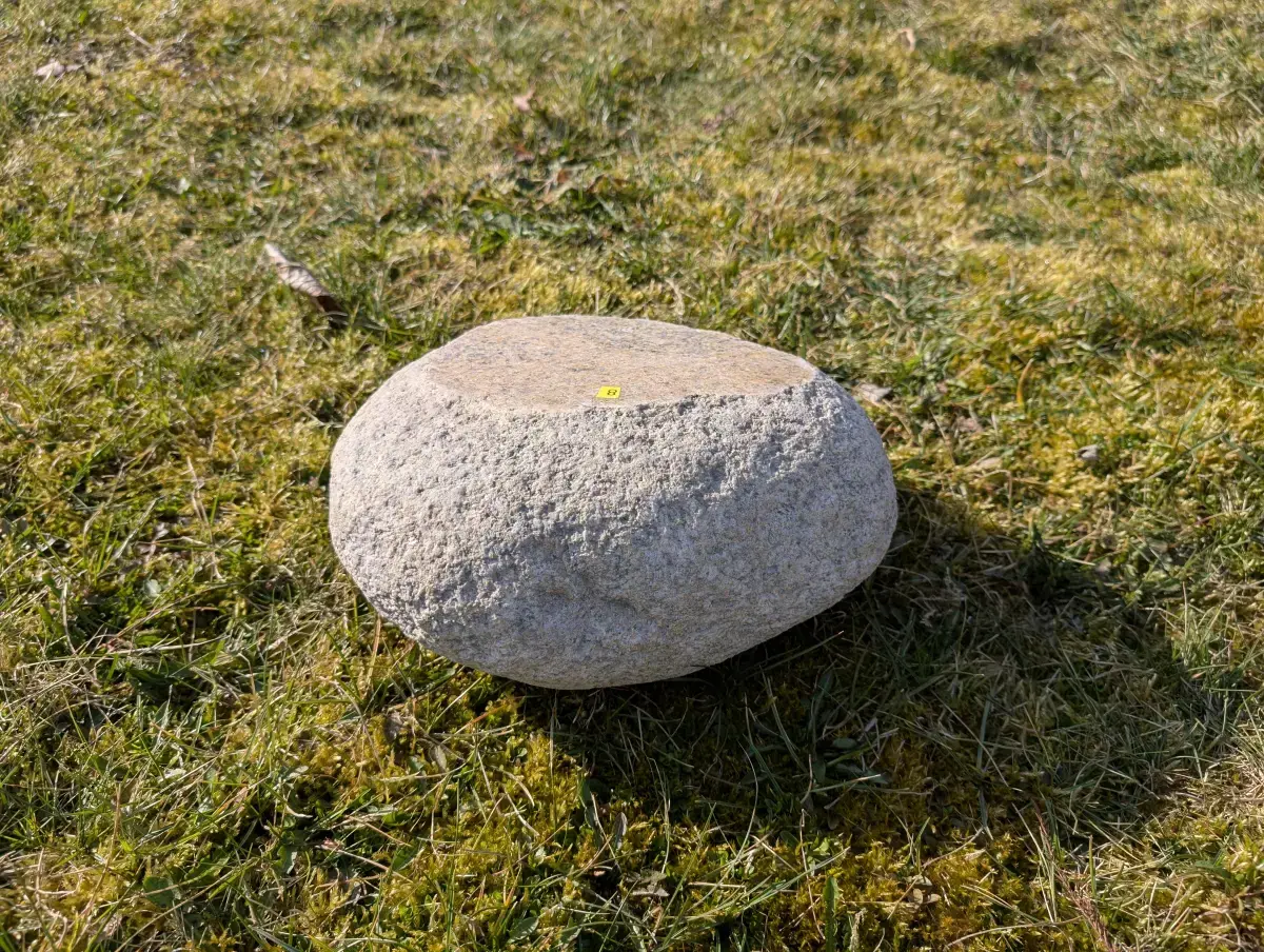 #08 głaz - pomnik dla psa - zdjęcie 3