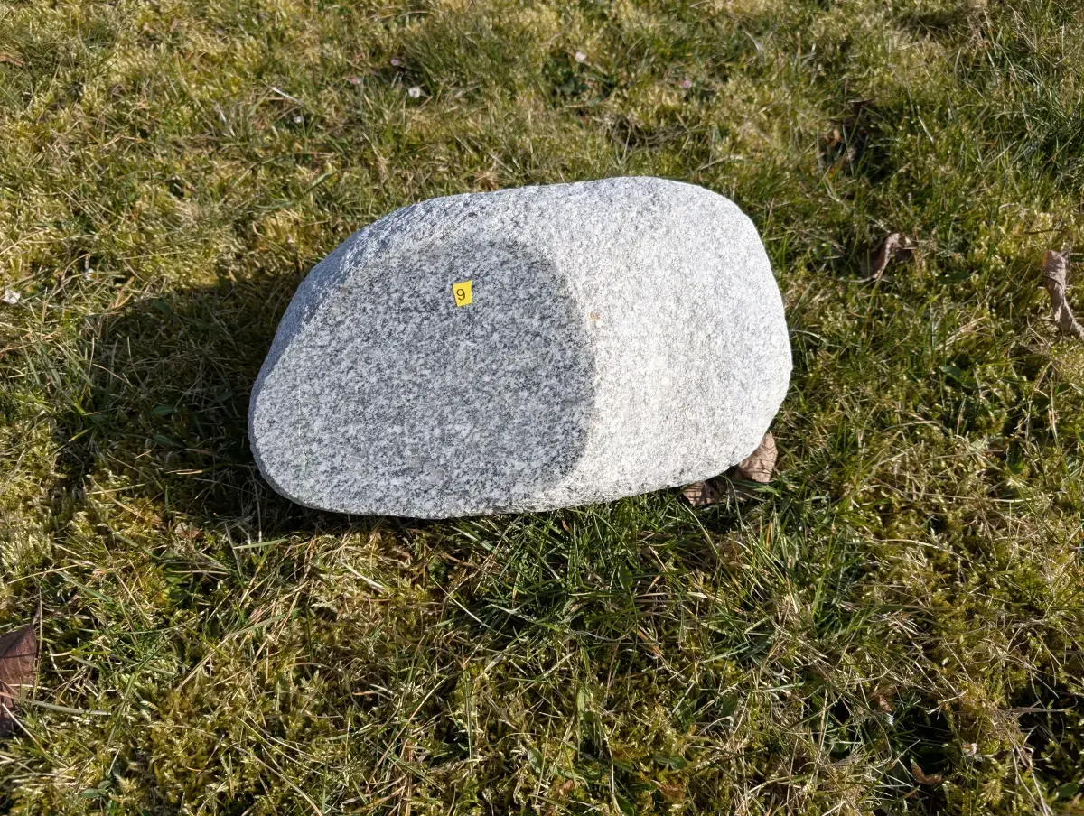 #09 głaz - pomnik dla psa