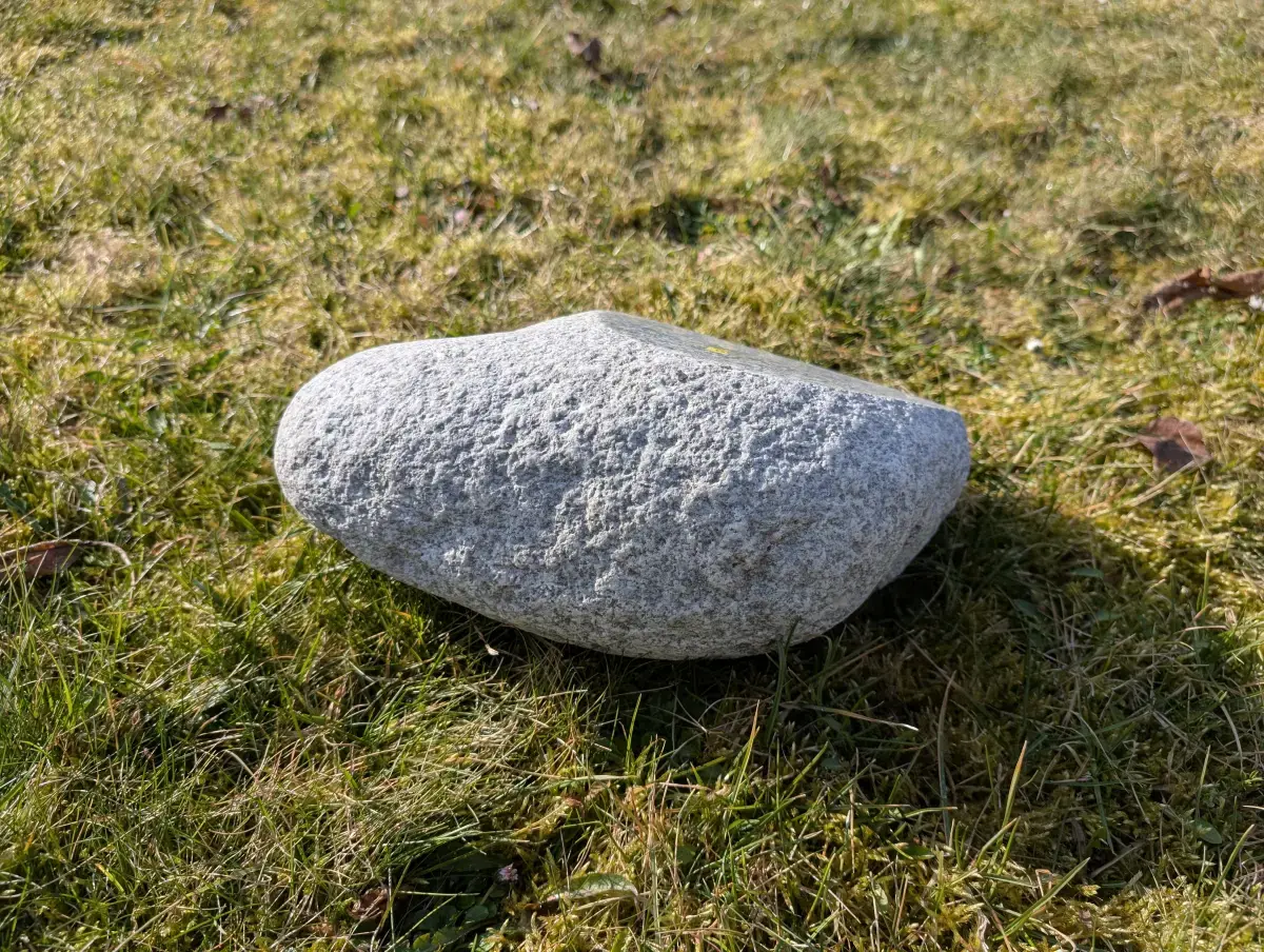 #09 głaz - pomnik dla psa - zdjęcie 2