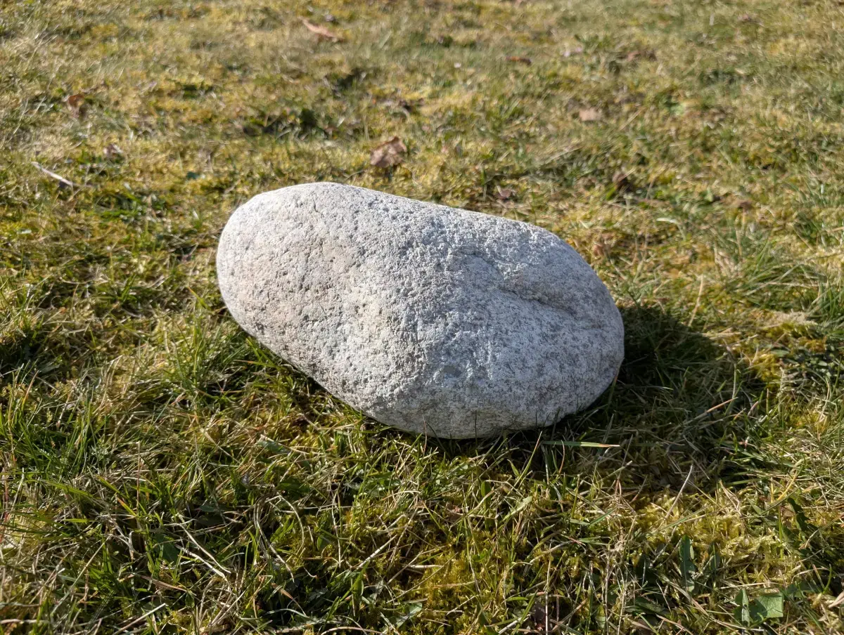 #10 głaz - pomnik dla psa - zdjęcie 2