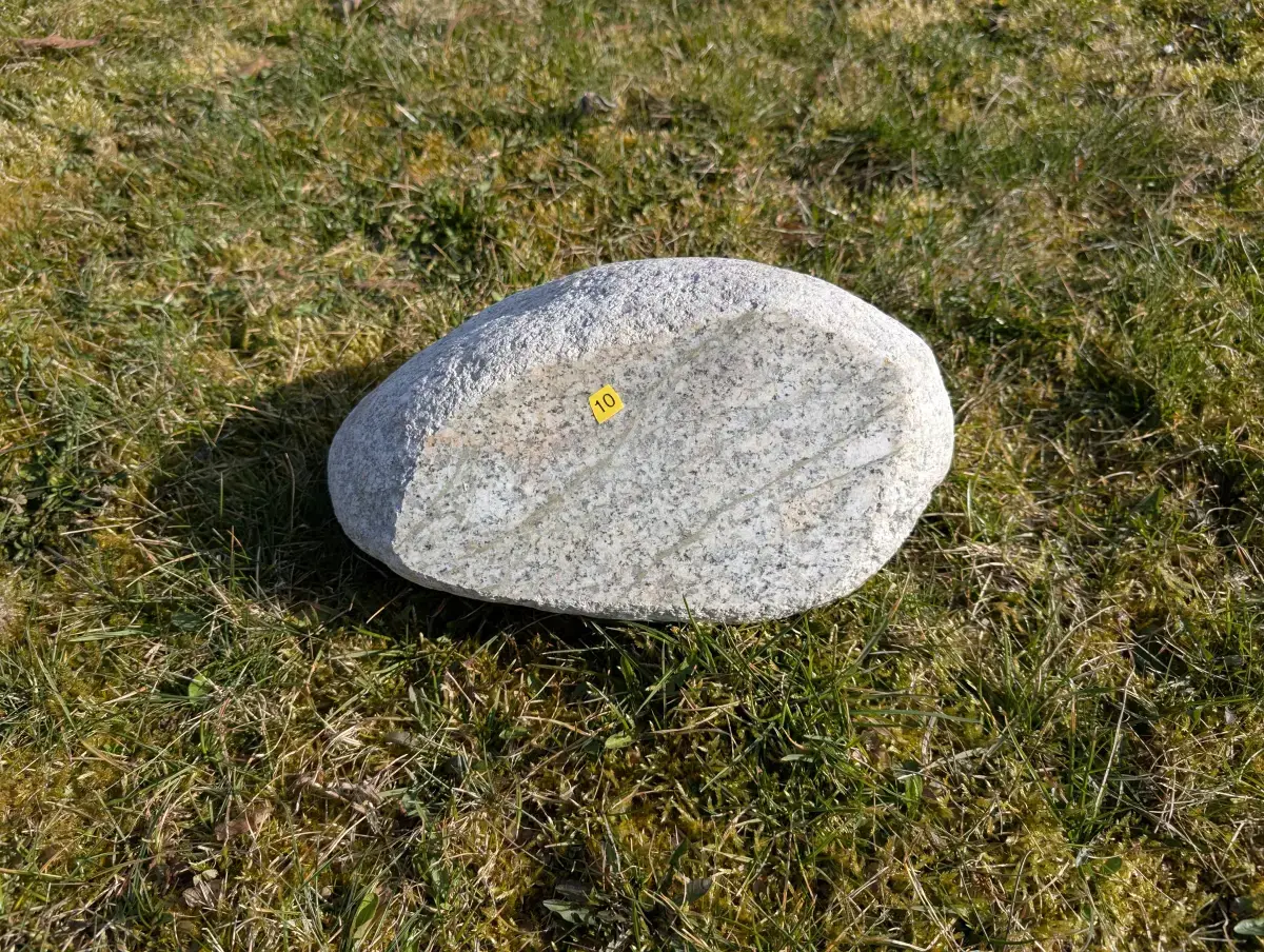 #10 głaz - pomnik dla psa