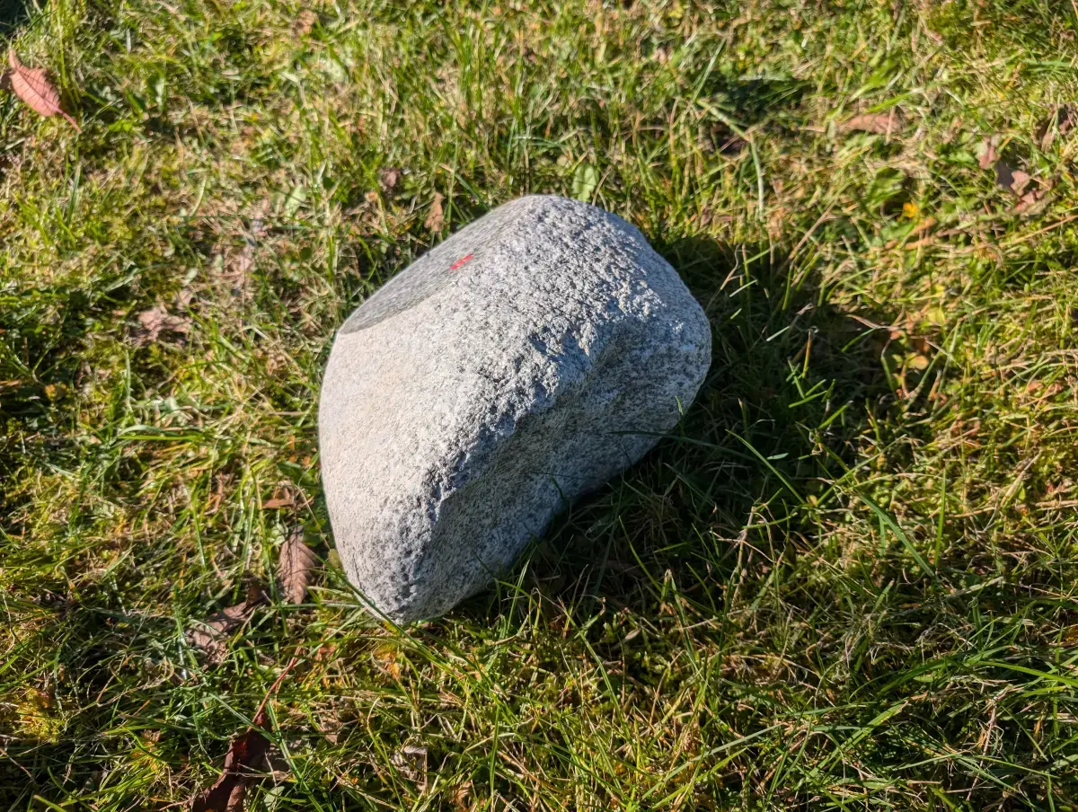 #11 Głaz - pomnik dla psa