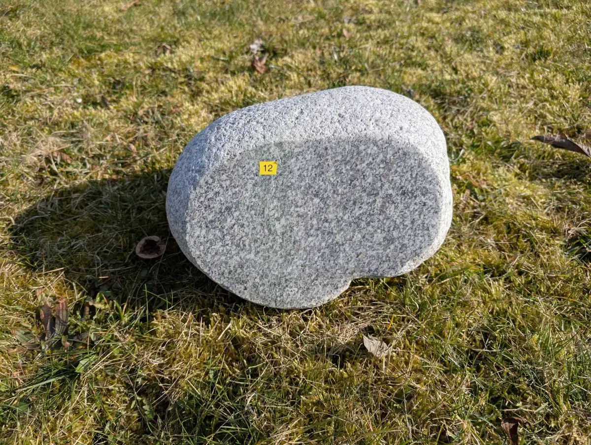 #12 głaz - pomnik dla psa