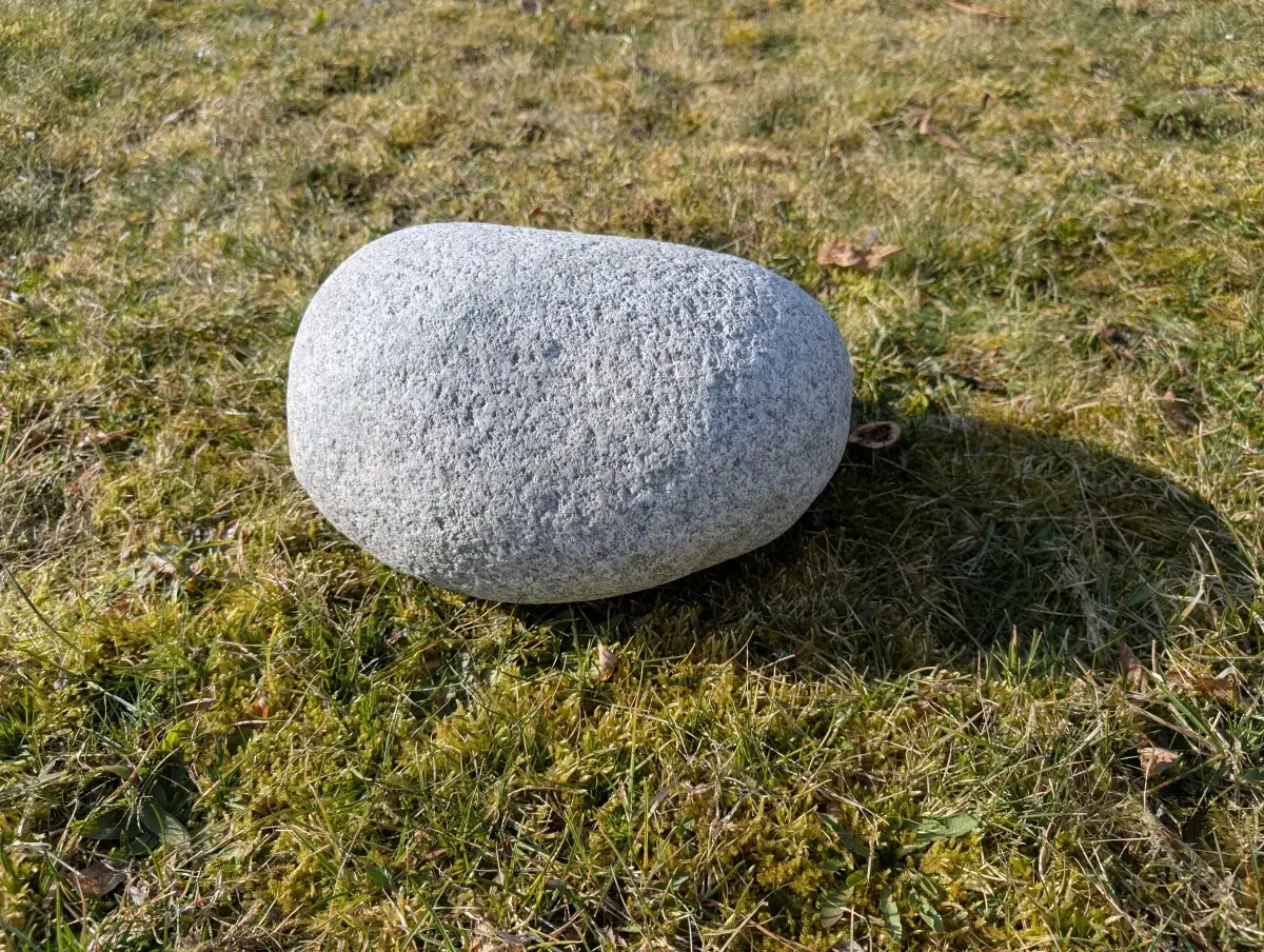 #12 głaz - pomnik dla psa - zdjęcie 3