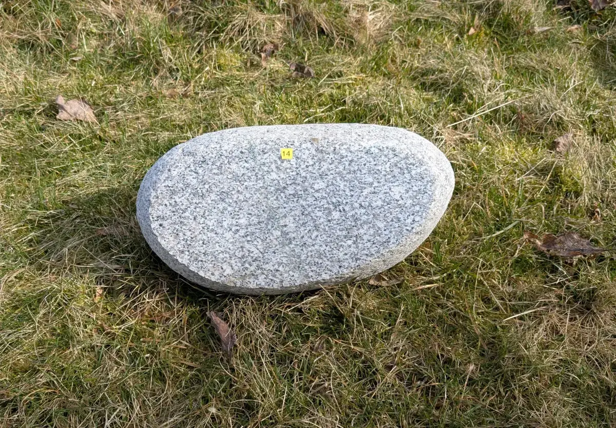 #14 głaz - pomnik dla psa