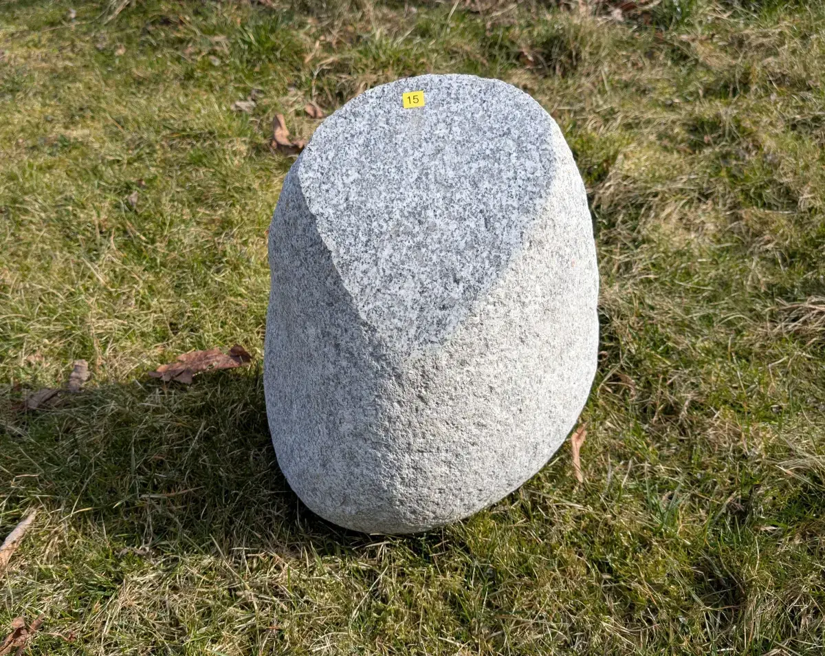 #15 głaz - pomnik dla psa