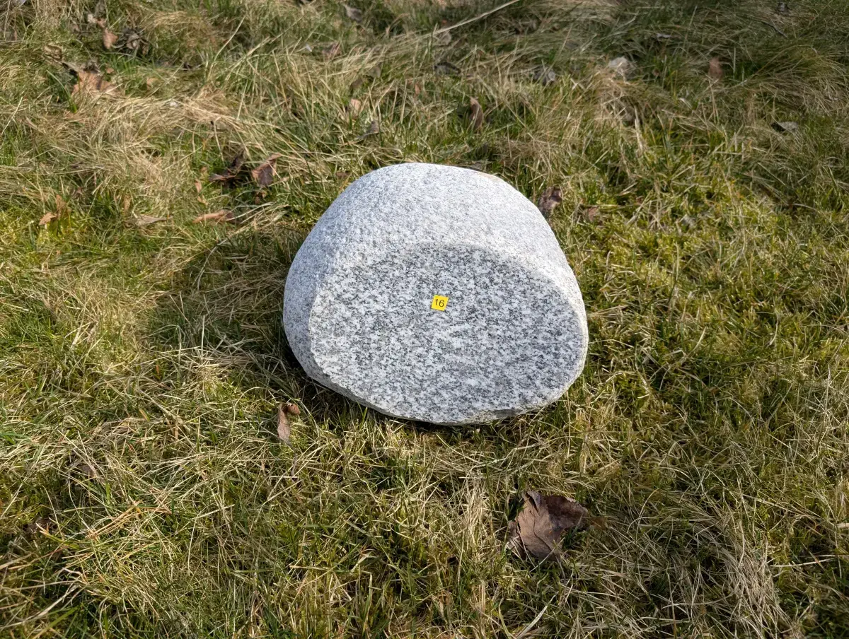 #16 głaz - pomnik dla psa