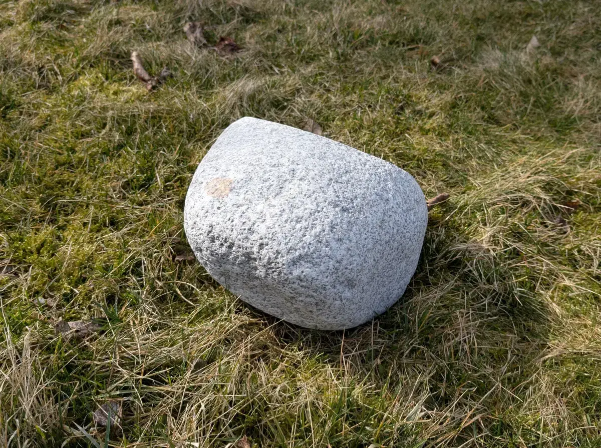 #16 głaz - pomnik dla psa - zdjęcie 3