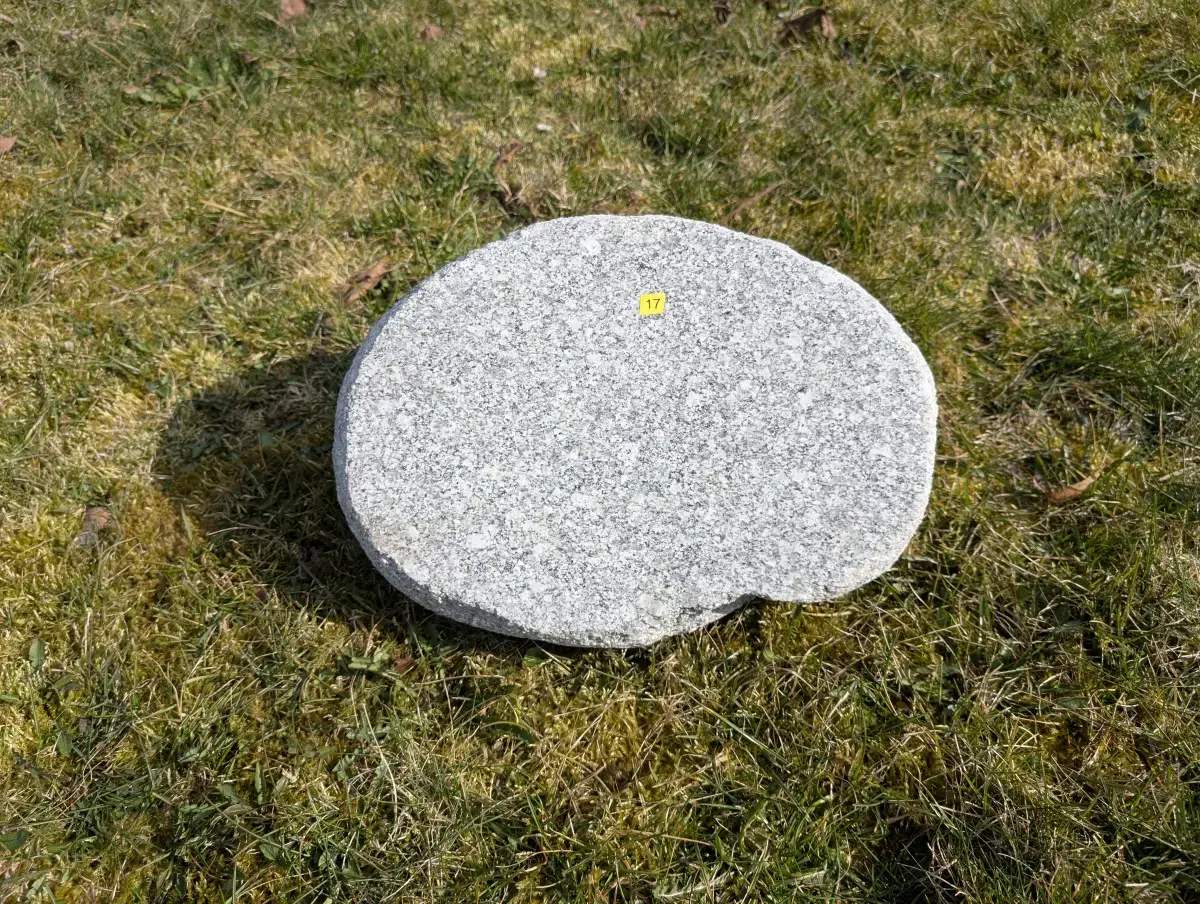 #17 głaz - pomnik dla psa