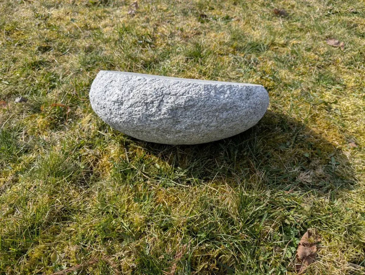 #17 głaz - pomnik dla psa - zdjęcie 2