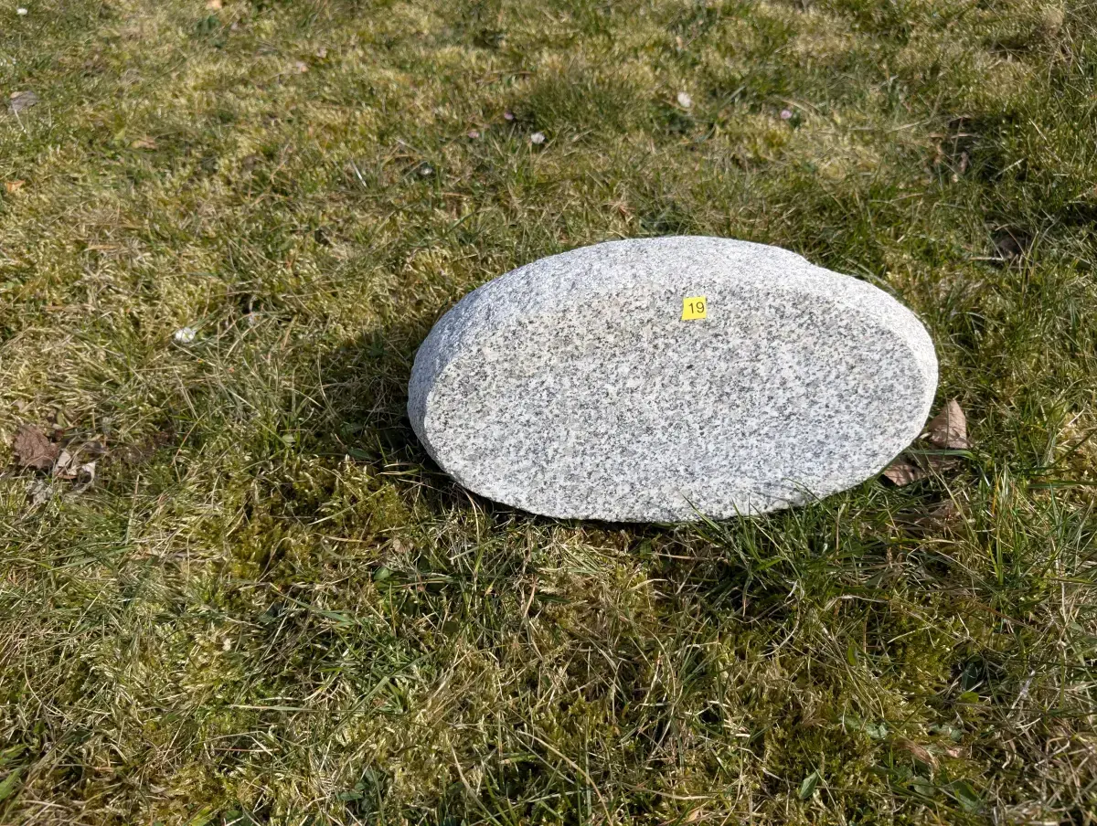 #19 głaz - pomnik dla psa