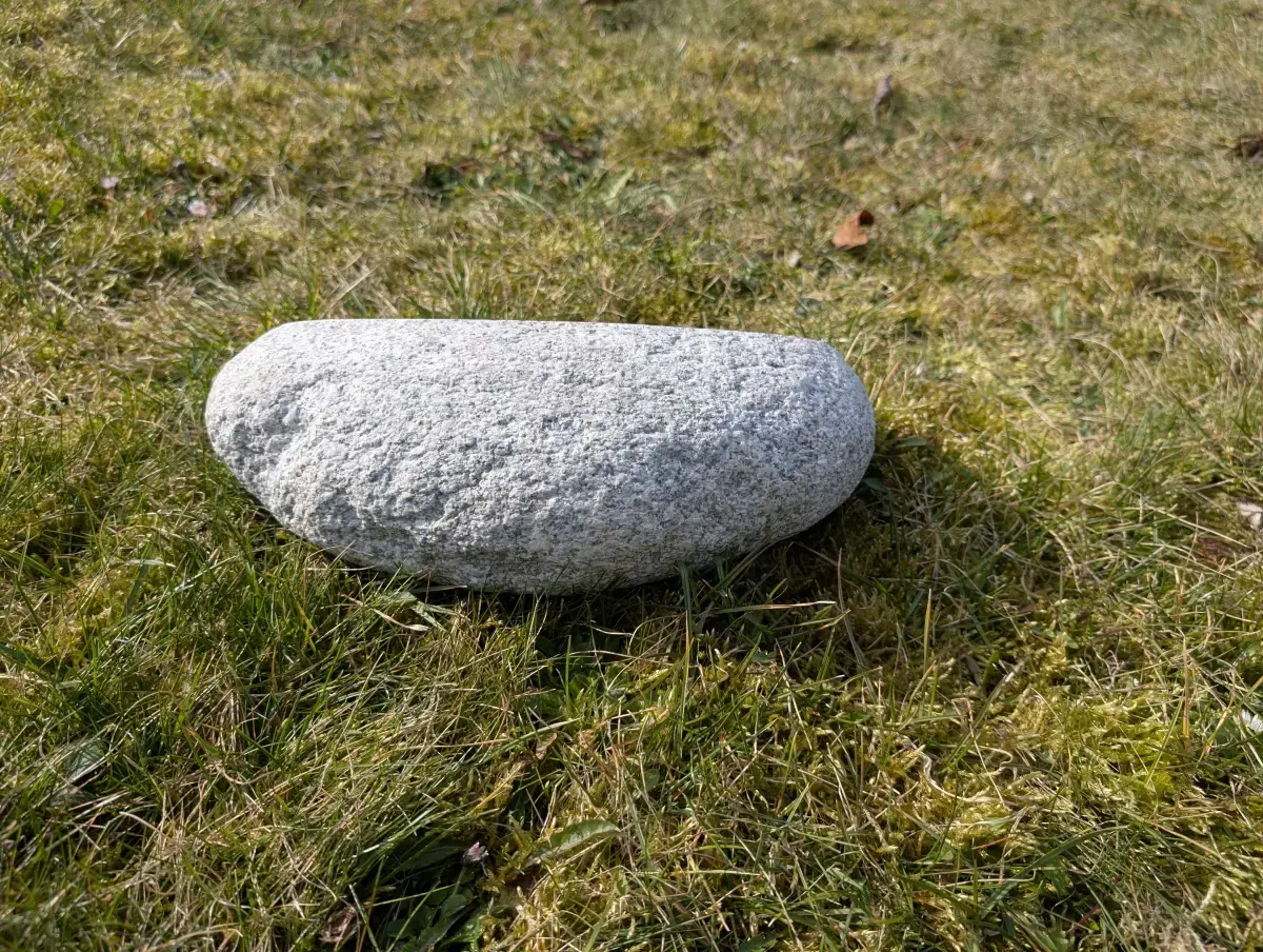 #19 głaz - pomnik dla psa - zdjęcie 3