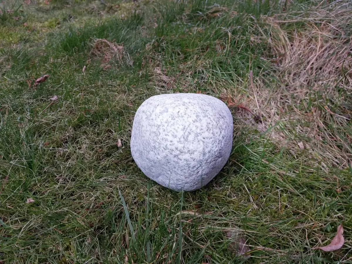 #02 Głaz - pomnik dla psa