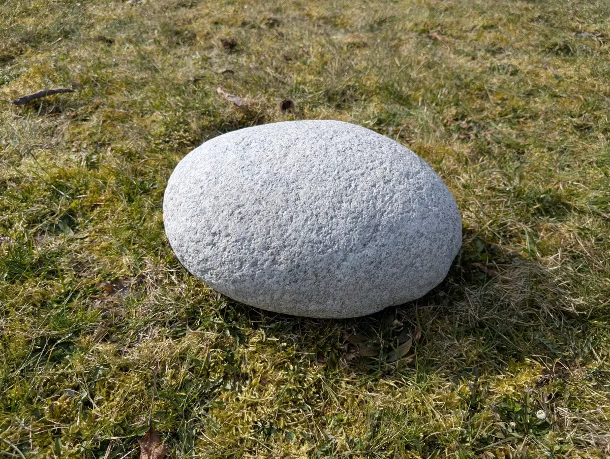 #21 głaz - pomnik dla psa - zdjęcie 3