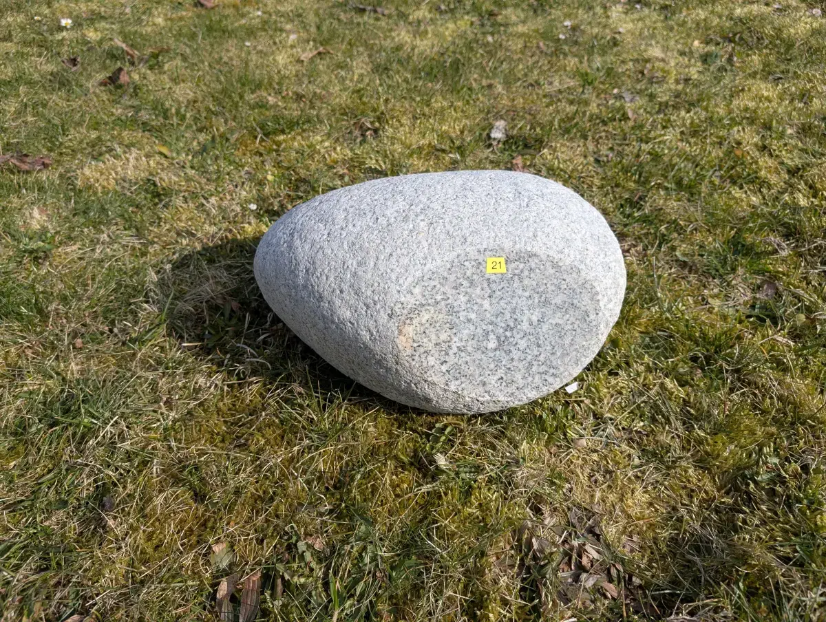 #21 głaz - pomnik dla psa