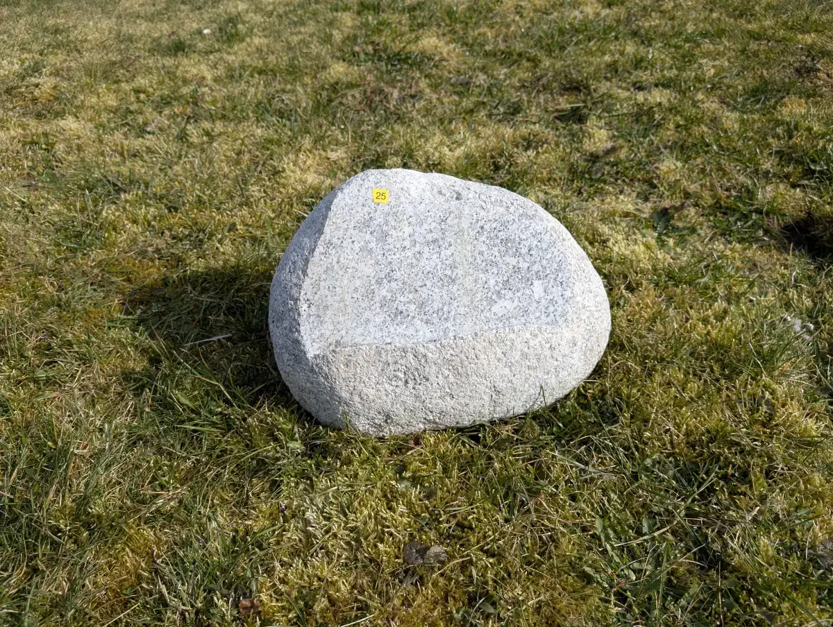 #25 głaz - pomnik dla psa