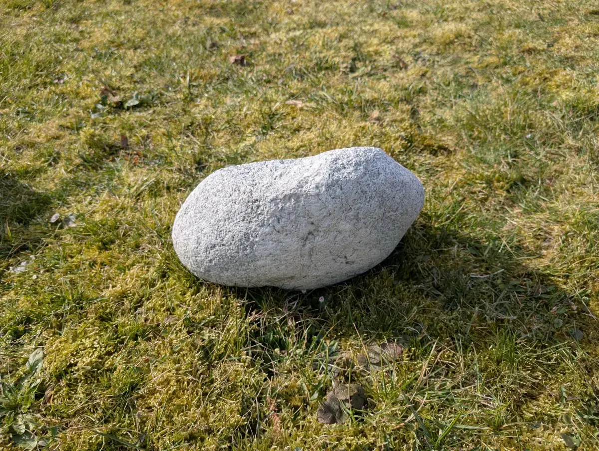 #25 głaz - pomnik dla psa - zdjęcie 3