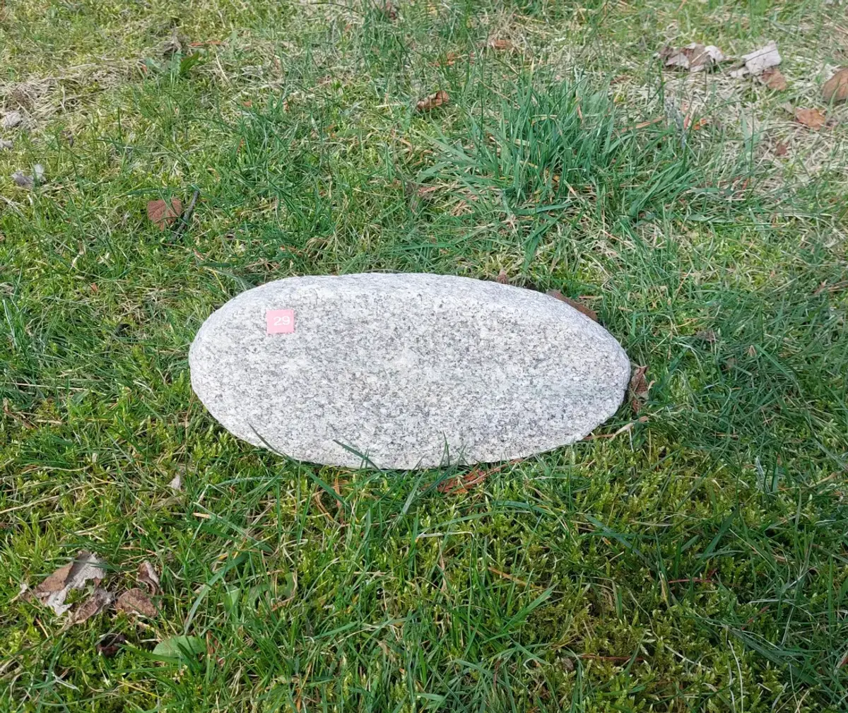 #29 Głaz - pomnik dla psa lub kota