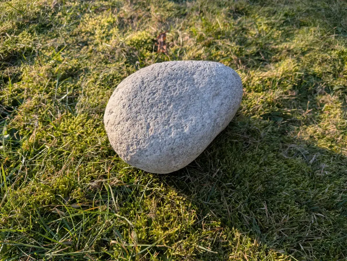 #32 Głaz - pomnik dla psa