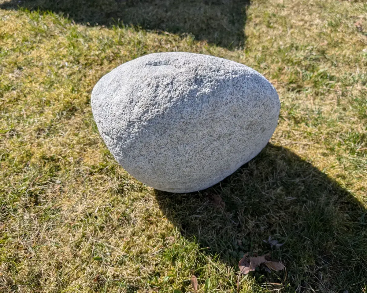 #37 głaz - pomnik dla psa - zdjęcie 3