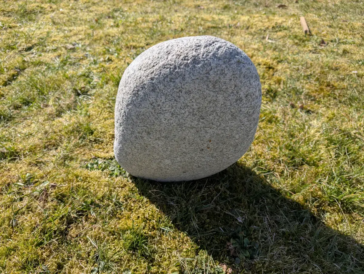 #39 głaz - pomnik dla psa - zdjęcie 3