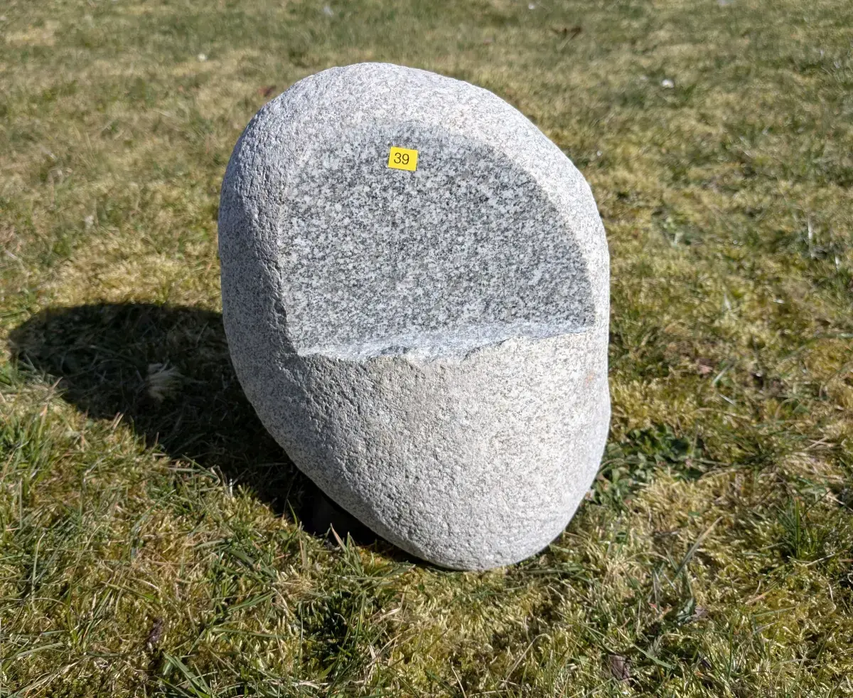 #39 głaz - pomnik dla psa