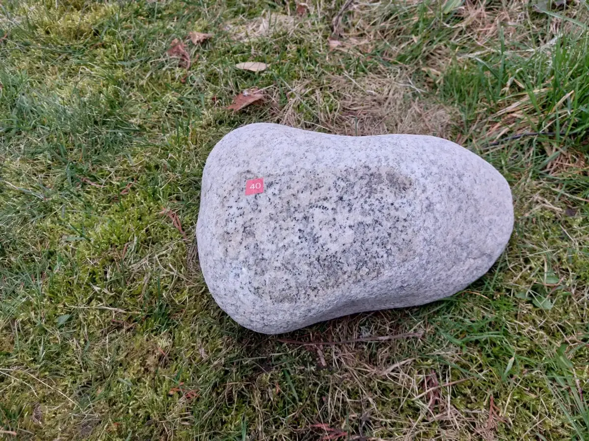 Głaz Narzutowy #14 – Naturalny Pomnik na Leśny Cmentarz