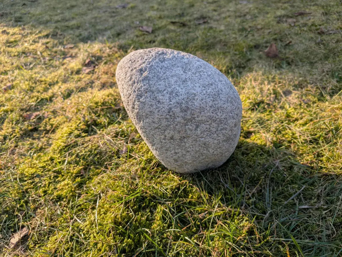 #43 głaz - pomnik dla psa