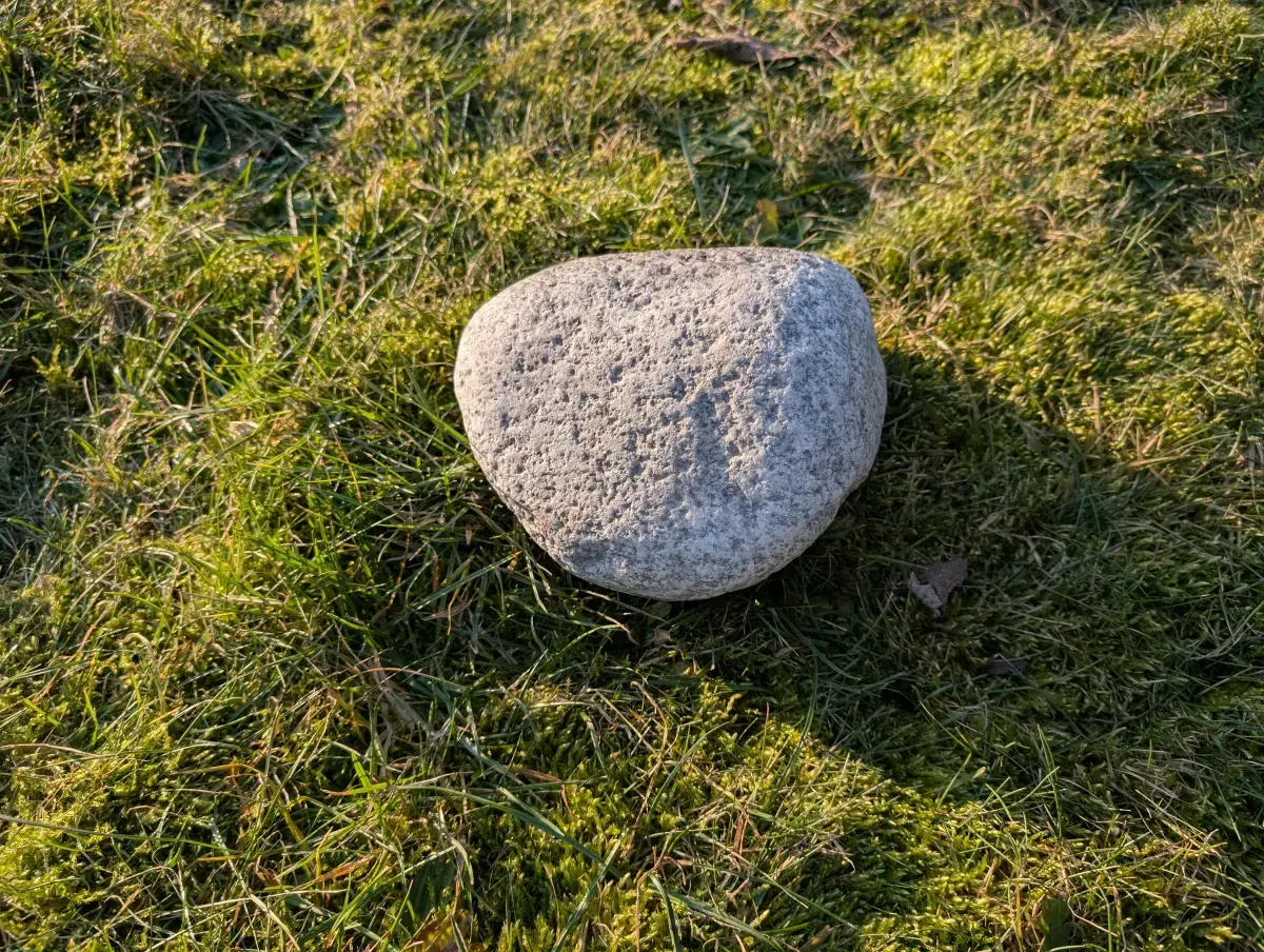 #45 głaz - pomnik dla psa