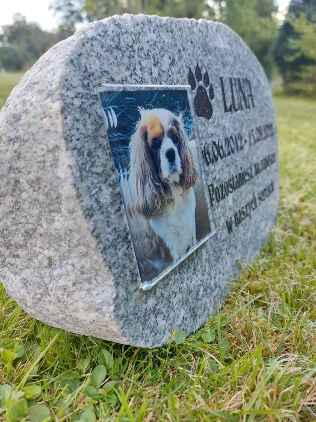 Zdjęcie wypalone w fotokrysztale 9x12 cm